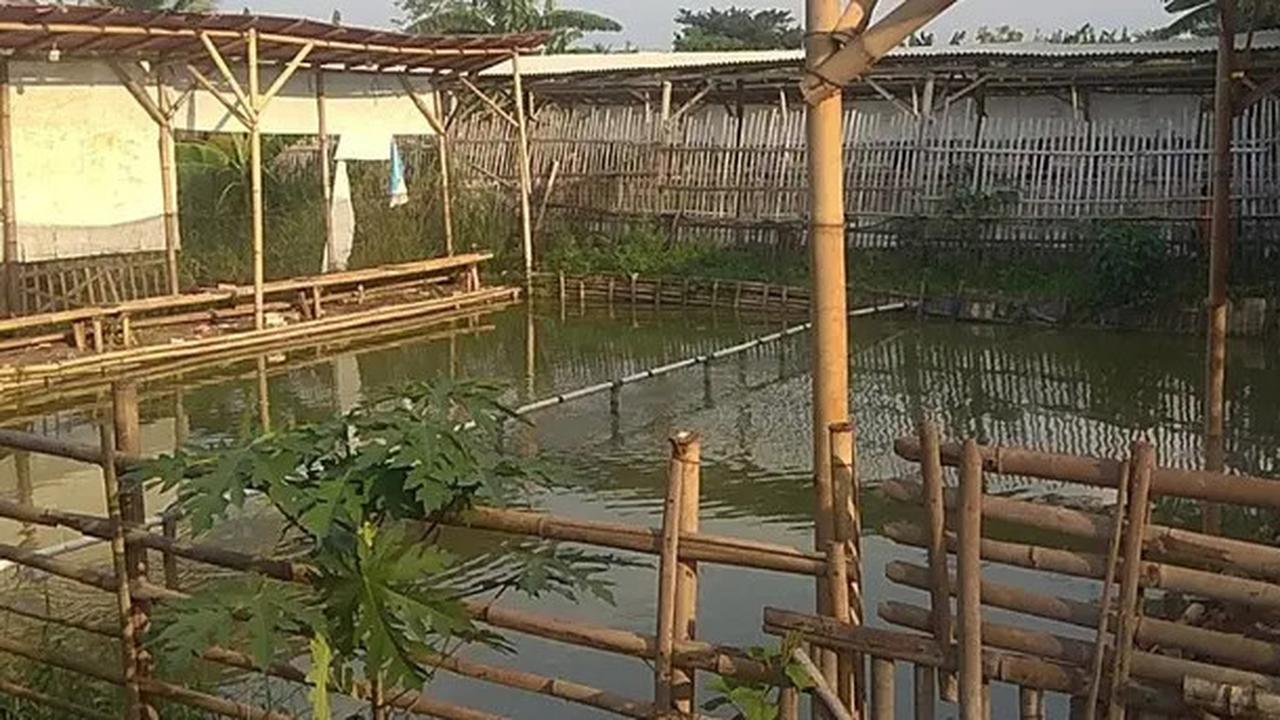 7 Rekomendasi Spot Mancing Nyaman 2025 di Jakarta Utara, Cocok untuk Habiskan Waktu Liburan