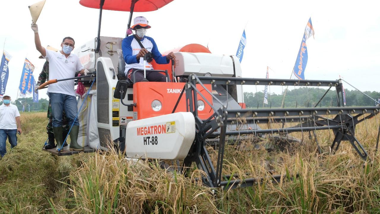 Program pembinaan Agro-Solution PT Pupuk Kalimantan Timur (PKT)