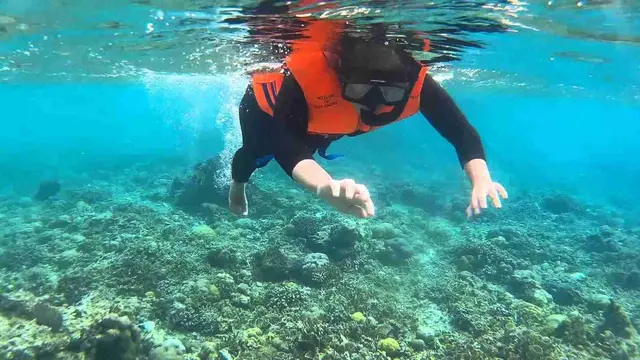 Seseorang Sedang Snorkeling di Bangsring Underwater