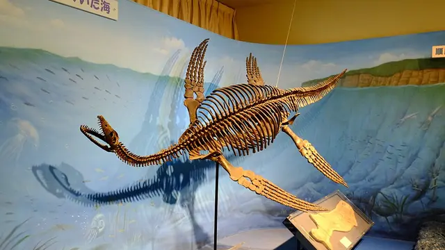 Heboh Penemuan Spesies Baru Plesiosaurus di Jerman, Proses Penelitian Terus Dilakukan