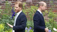 Pangeran Harry dan Pangeran William. (Dominic Lipinski /Pool Photo via AP, File)