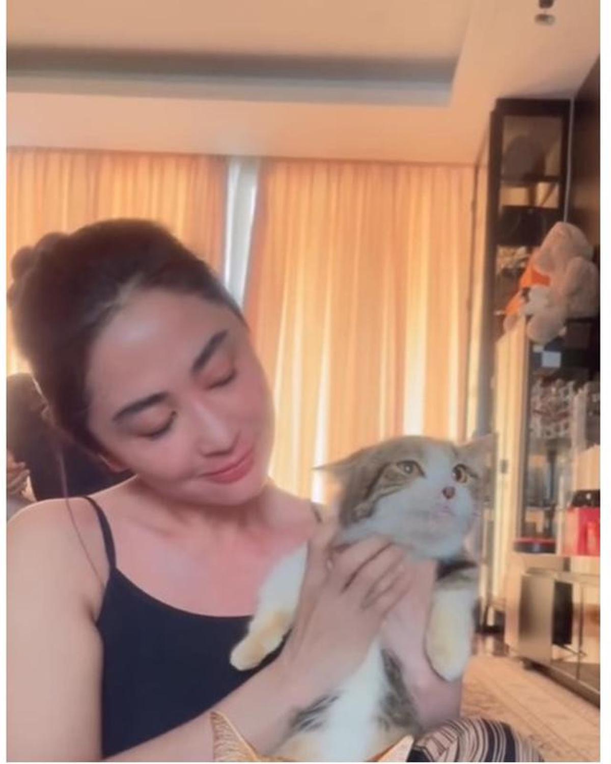 6 Potret Dewi Perssik Rawat Kucing Eko Patrio yang Selamat Pasca Penjarahan Rumah