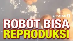 Selasa lalu (30/11) ilmuwan AS yang ciptakan robot hidup yang dirancang dengan komputer pertama di dunia, meluncurkan xenobots, robot hidup pertama yang bisa bereproduksi.