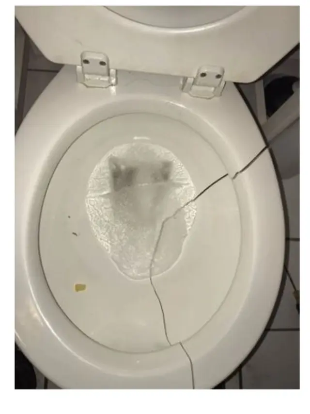 Polar Vortex Semua Membeku (sumber : buzzfeed)