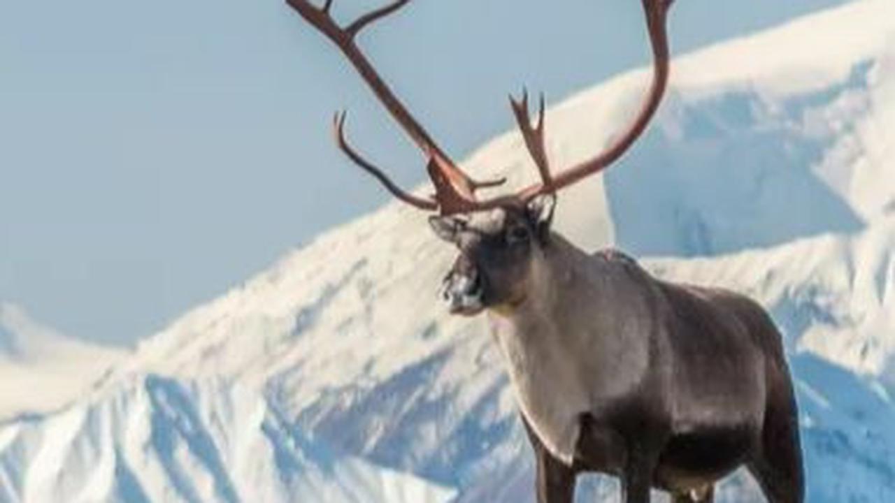 Lebih Misterius dan Menakutkan dari Segitiga Bermuda, Sudah 20.000 Orang Hilang di "Segitiga Alaska"