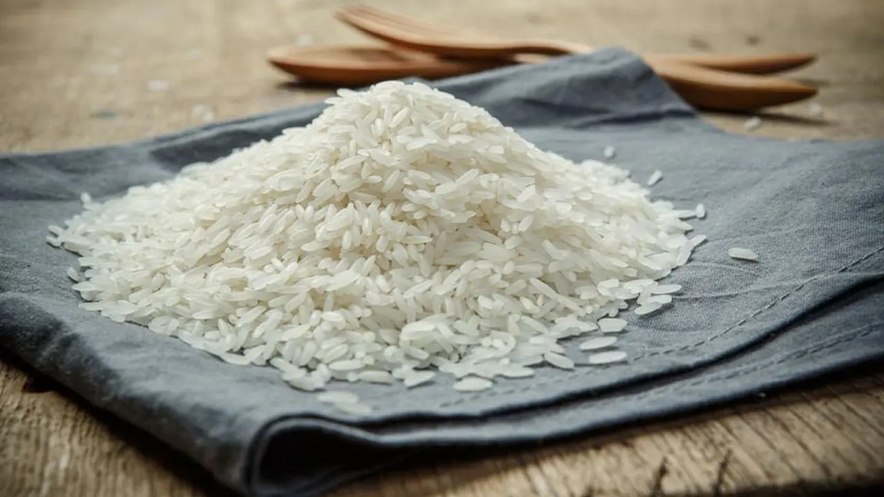 Bola Nasi Plastik