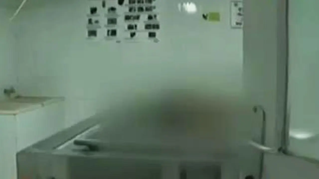 Mayat Wanita Dimutilasi