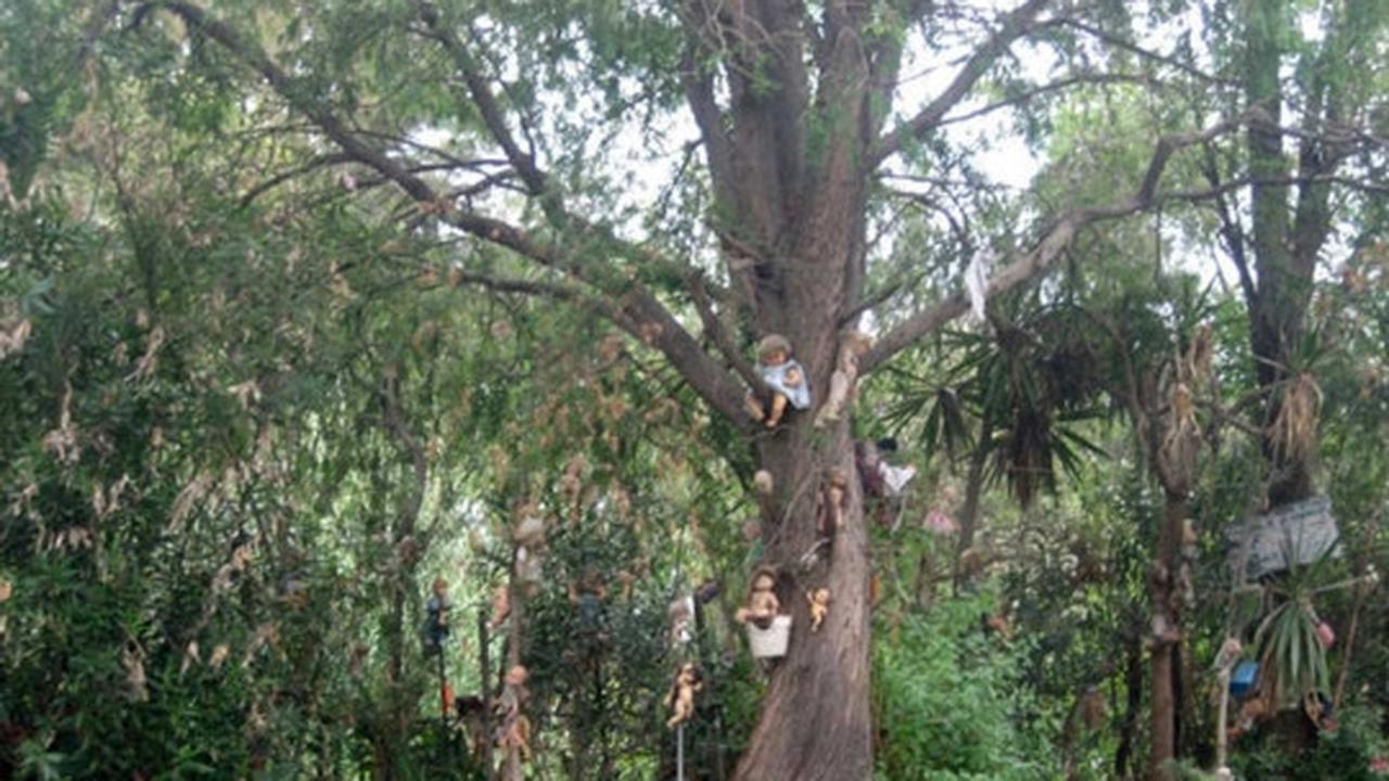 Seramnya Pulau Boneka di Meksiko yang penuh misteri