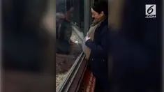 Tingkah orang utan membuat haru salah satu pengunjung kebun binatang Colchester, Inggris. Dari balik kaca orang utan mencium perut ibu yang sedang hamil.