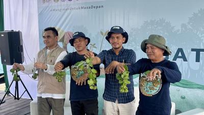 Rehabilitasi Mangrove Pulihkan Hasil Tambak Petani di Sepatin Kutai Kartanegara