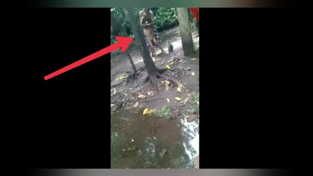 [Bintang] Lagi Viral! Ini Video Kakek yang Tega Umpankan Cucunya ke Monyet