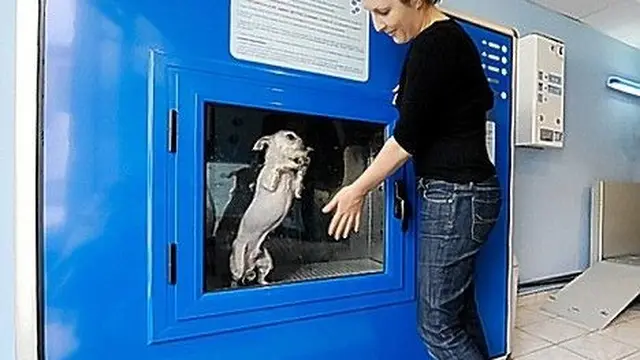 7 Potret Vending Machine di Berbagai Negara Ini Jual Barang Antimainstream