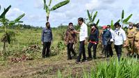 Presiden Joko Widodo didampingi Stafsus Presiden RI Billy Mambrasar meninjau program Petani Milenial dari Kementerian Pertanian RI saat berada di Papua Barat. (Ist)
