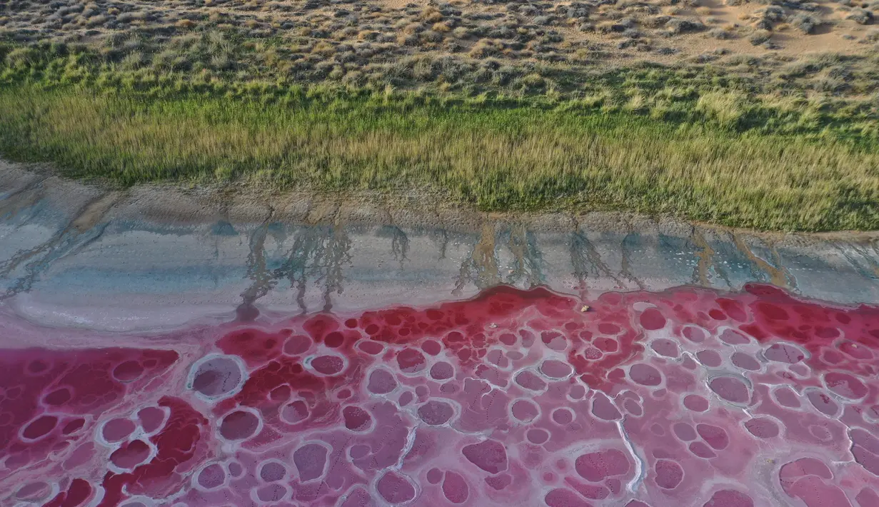Foto dari udara yang diabadikan saat malam hari pada 30 Mei 2020 ini menunjukkan Danau Daghtu di Gurun Badain Jaran, Daerah Otonom Mongolia Dalam, China utara. Jauh di dalam Gurun Badain Jaran di Wilayah Alxa Right, terdapat sebuah danau berwarna merah muda yang dinamai Daghtu. (Xinhua/Xu Qin)