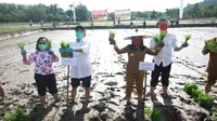 Bupati Landak Karolin Margret Natasa dalam acara tanam padi bersama kelompok tani Coba Maju di Takiung, Desa Sidas, Kecamatan Sengah Temila.