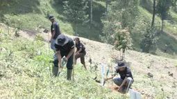 Upaya Rasman merangkul para warga agar melepas dari aktivitas tambang cukup berhasil. Salah satunya dengan memanfaatkan peluang dari pemerintah melalui Peraturan Menteri Lingkungan Hidup dan Kehutanan Nomor 4 Tahun 2023 tentang Pengelolaan Perhutanan Sosial pada Kawasan Hutan dengan Pengelolaan Khusus. Aturan ini juga semakin diperkuat dengan lahirnya Peraturan Presiden Nomor 28 Tahun 2023 tentang Perencanaan Terpadu Percepatan Pengelolaan Perhutanan Sosial. (Foto: Dokumentasi BRI)