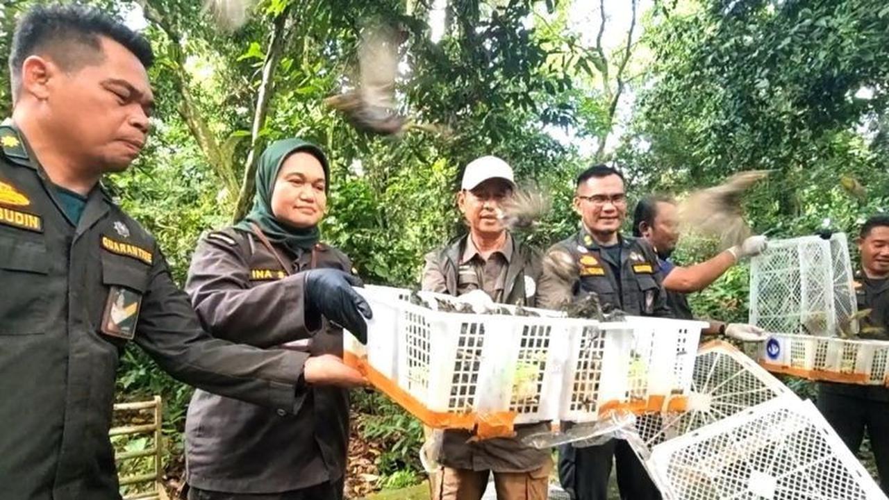 Pelepasliaran Burung NTB: Ribuan Satwa Liar Kembali ke Habitat Alami di TWA Suranadi