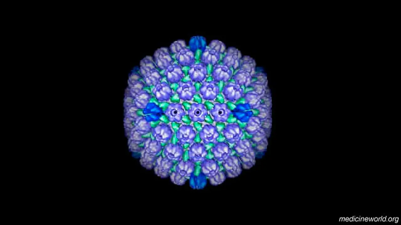 virus-ensefalitis121004b.jpg