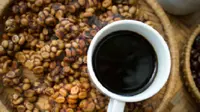 Ilustrasi kopi luwak (iStock)