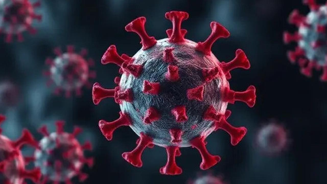 HMPV Bukan Virus Baru, Ahli Jelaskan Perbedaannya dengan Covid-19