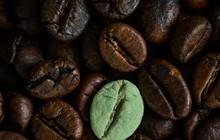 Perbedaan Kopi Hijau dan Kopi Hitam, Berikut Manfaat Keduanya