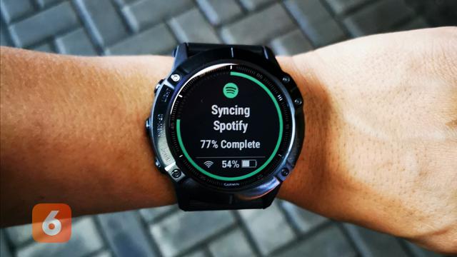 Garmin fenix 6x Sapphire