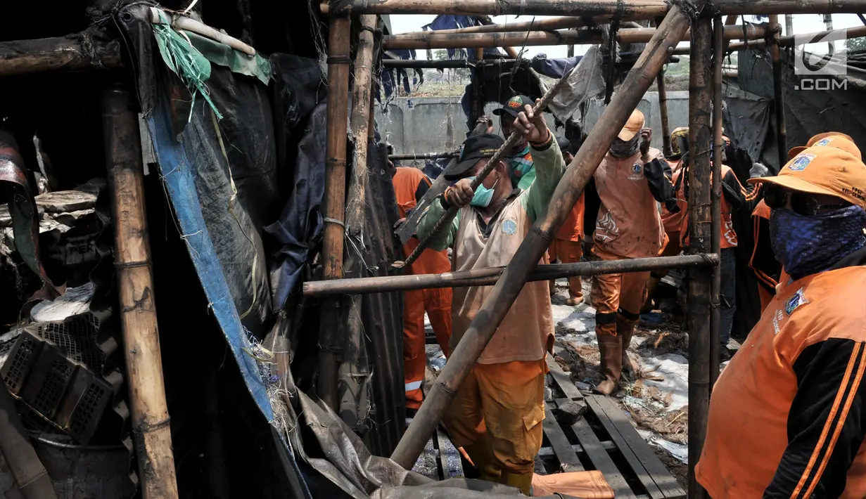 Petugas Penanganan Sarana dan Prasarana Umum (PPSU), membongkar tempat pembuatan arang batok kelapa di Cilincing, Jakarta Utara, Kamis (19/9/2019). Pemkot Jakut membongkar 23 rumah industri pembakaran arang dan dua rumah industri peleburan aluminuim di kawasan tersebut. (merdeka.com/Iqbal S Nugroho)