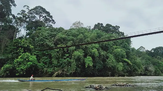 Hutan Adat Guguk