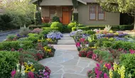 Memasang paving block pada halaman rumah merupakan salah satu cara yang paling lumrah dilakukan untuk mendapatkan halaman yang cantik. 