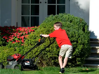 Presiden AS, Donald Trump melihat seorang anak laki-laki, Frank Giaccio mendorong mesin pemotong rumput di Rose Garden, Gedung Putih, Jumat (15/9). Bocah 11 tahun itu berada di Rose Garden setelah dirinya menulis surat kepada Trump. (Mike Theiler/AFP)