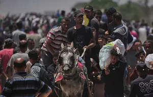 Badan Perserikatan Bangsa Bangsa untuk Pengungsi Palestina (UNRWA) melaporkan bahwa warga sipil di Jalur Gaza menjadi sasaran serangan pasukan Israel saat berupaya mendapatkan makanan di pusat distribusi bantuan Rafah. (AP Photo/Abdel Kareem Hana)