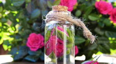 Wajib Coba Diy Rose Water Ini Cocok Untuk Segala Jenis Kulit