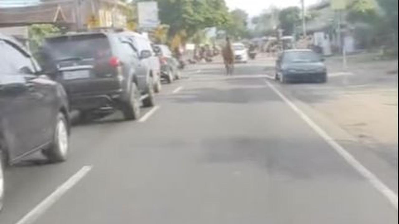 Komentar Warganet<br>