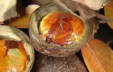 8 Manfaat Jengkol Bagi Kesehatan, Beraroma Tak Sedap Dengan Ragam Khasiat