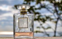 7 Fakta Parfum yang Jarang Diketahui, Awalnya Berbentuk Dupa hingga Tidak Memiliki Kedaluwarsa