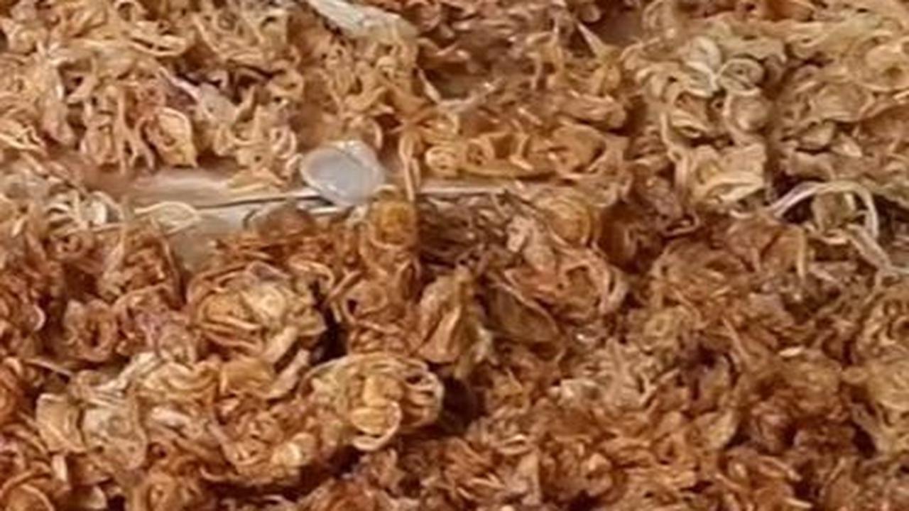 Perbandingan Bawang Goreng yang Dicuci dan Diberi Cuka