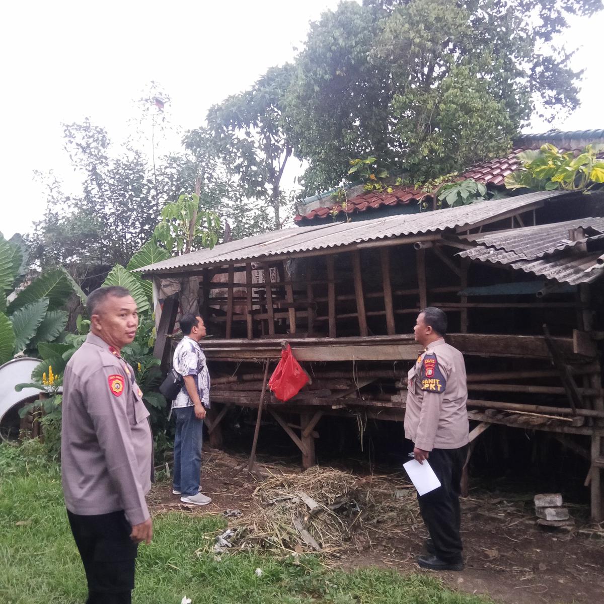 Kandang kambing warga Depok