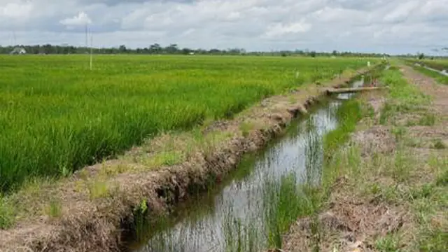 Food Estate
