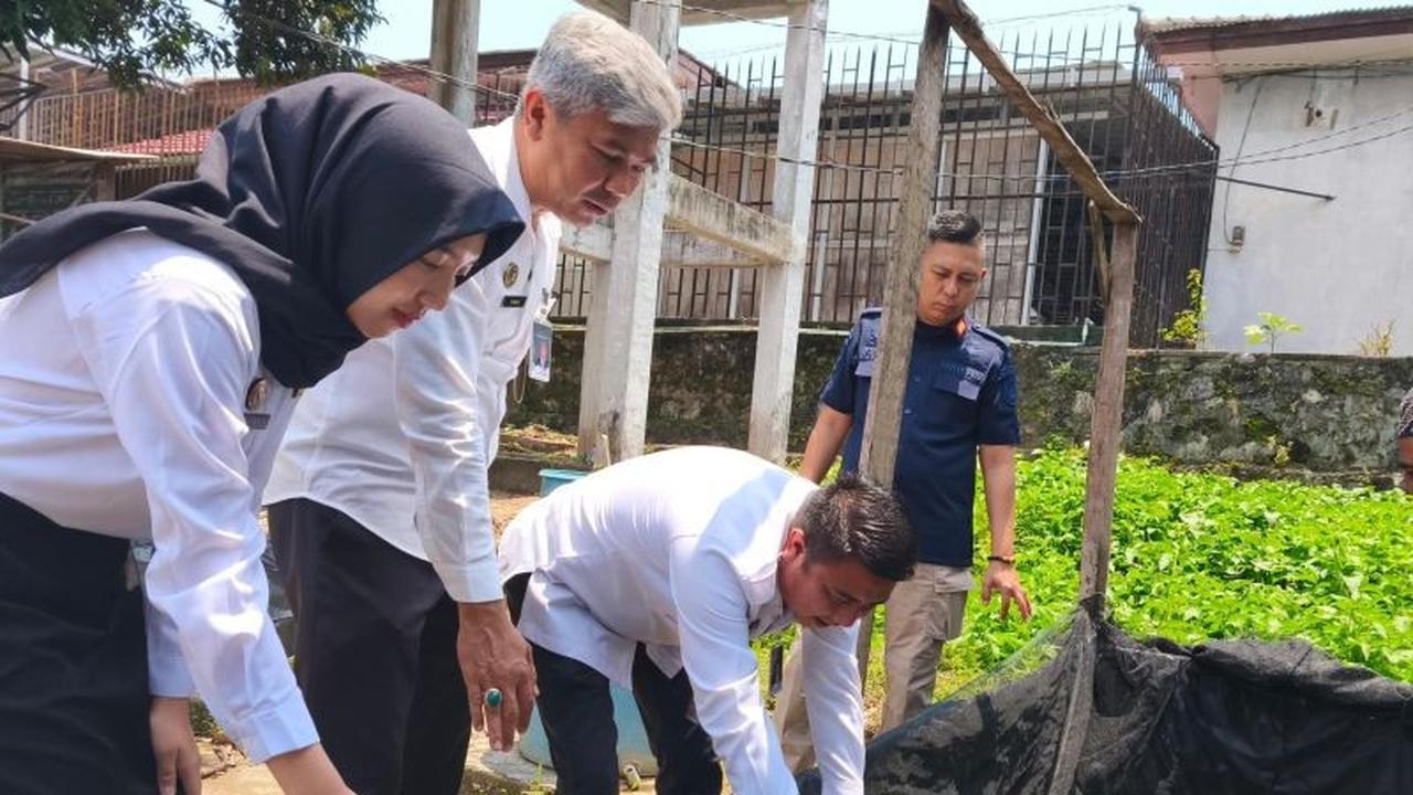 Tahukah Anda? Budidaya Lele Rutan Baturaja Tebar 4.000 Bibit, Lahan SAE Jadi Pusat Pembinaan Warga Binaan