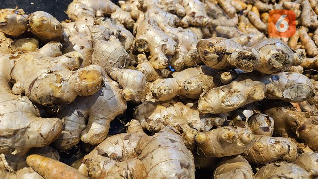 Jahe (Foto: Aditya Eka Prawira/Liputan6.com)