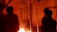 Segmen 3: Detik-detik Pemusnahan Sarang Lebah di Semarang