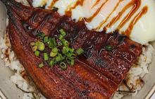 Resep Ikan Sidat Gurih dan Lembut, Menu Lezat Kaya Nutrisi