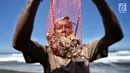 Marsiono menunjukkan binatang undur-undur atau yutuk di bibir Pantai Bocor, Kabupaten Kebumen, Jawa Tengah, Sabtu (05/5). Binatang tersebut hidup di dalam pasir laut. (Liputan6.com/Fery Pradolo)