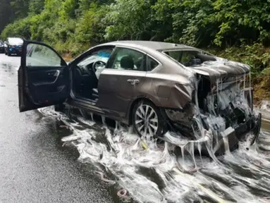 Sebuah mobil mengalami kerusakan dan dipenuhi lendir usai truk pengangkut 3.402 kilogram belut terbalik di jalan raya Highway 101, Oregon, Kamis (13/7). Kejadian ini seketika mengubah jalan raya menjadi licin dan lengket. (Oregon State Police via AP)