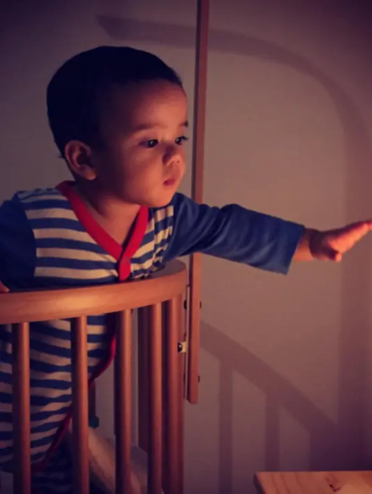 Fachri Albar telah dikaruniai buah hati laki-laki hasil pernikahannya dengan Renata Kusmanto. (viainstagram@renata711/Bintang.com)