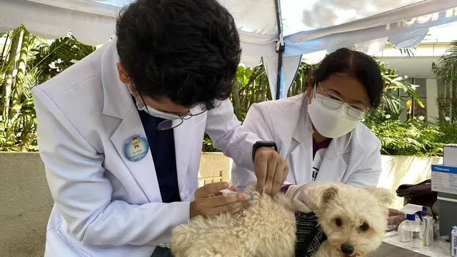 World Rabies Day, Kenali Pentingnya Vaksinasi Rabies untuk Anjing Peliharaanmu