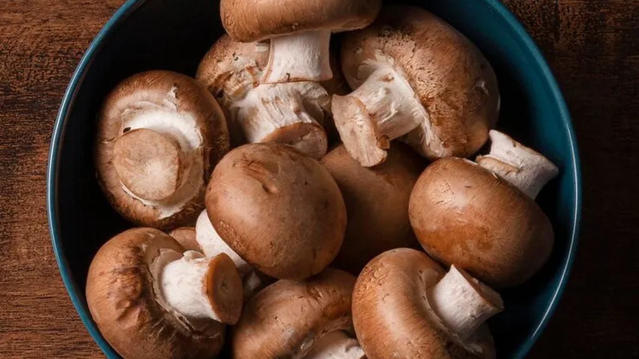 8. Jamur vs Kulat: Identifikasi Bahan Makanan yang Aman