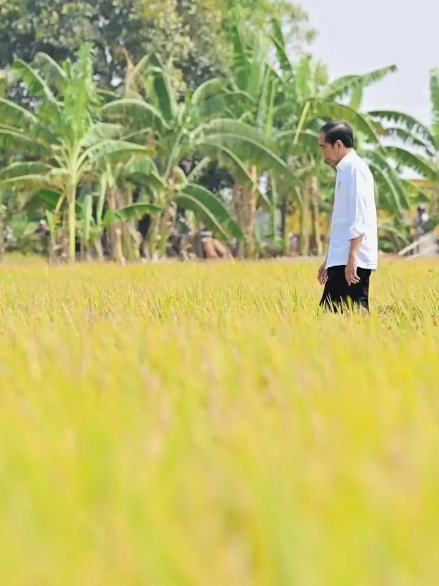 Jokowi. (Foto: Dok. Instagram @jokowi)