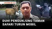 Duh! Pengunjung Taman Safari Turun dari Mobil