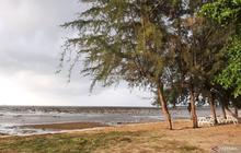 Pemkab Bintan Tetapkan Status Siaga Darurat Bencana Jelang Nataru, Antisipasi Banjir Rob dan Cuaca Ekstrem